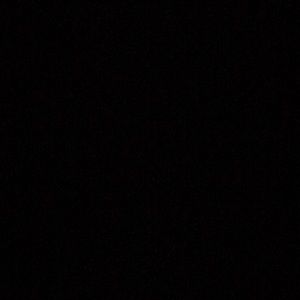 Meet your Posher, Jessie